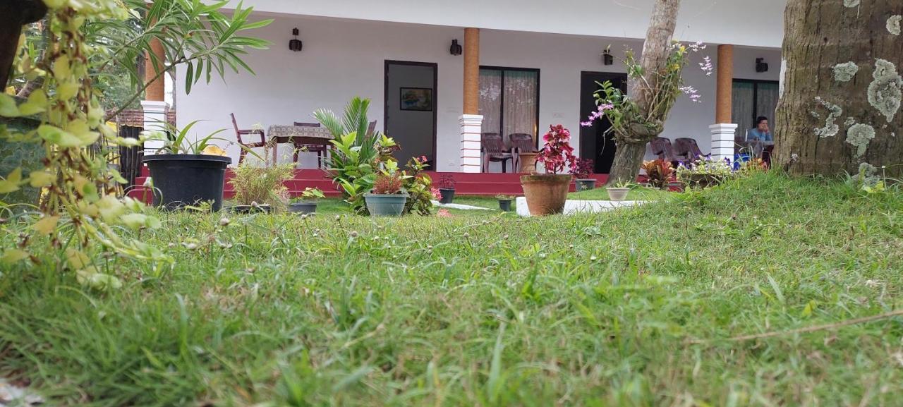 Marari Phoenix Beach Homestay Mararikulam Exterior photo